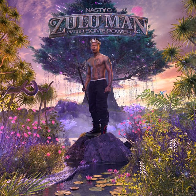 Zulu Man With Some Power cover art