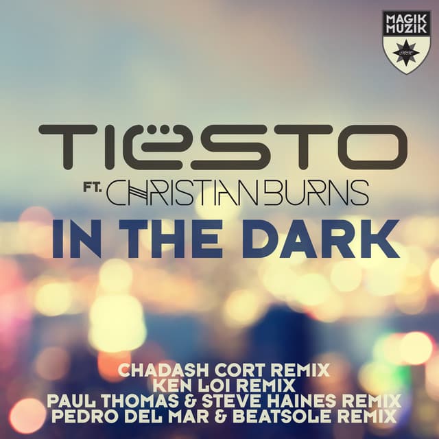 In the Dark - Chadash Cort Remix cover art