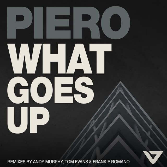 What Goes Up - Tom Evans Remix cover art