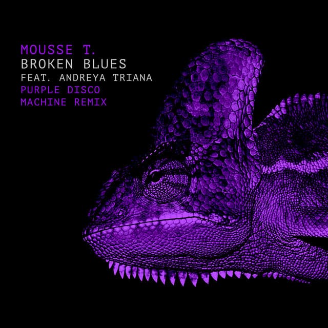 Broken Blues (Purple Disco Machine Remix) cover art