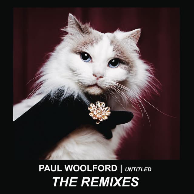 Untitled (Call Out Your Name) - Scuba Remix cover art