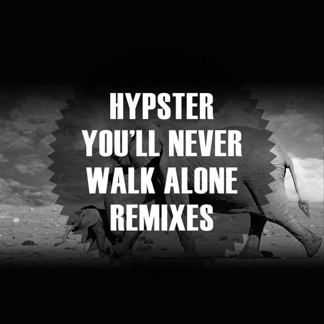 You'll Never Walk Alone - Hesham Watany Remix cover art