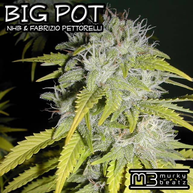 Big Pot - Twitchin Skratch Mix cover art