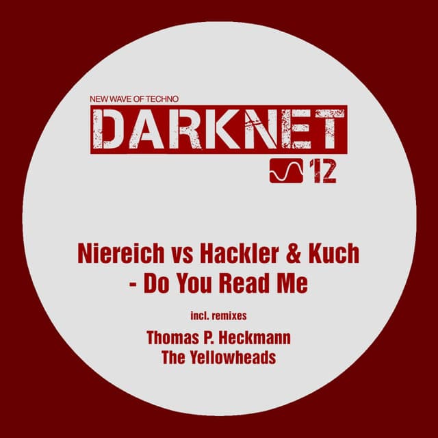 Do You Read Me - Thomas P. Heckmann Remix cover art