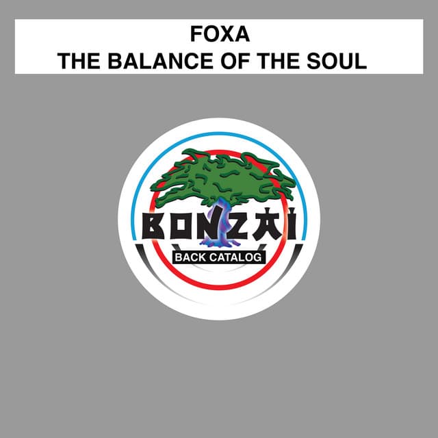 The Balance Of The Soul - Michal Jesensky Remix cover art