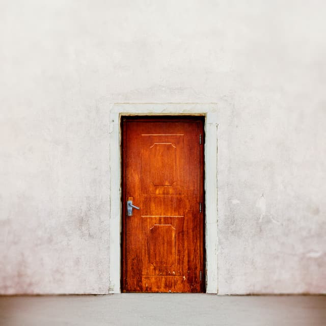 The Door - Stripped cover art