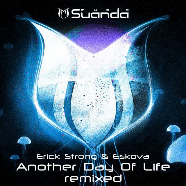 Another Day Of Life - Turn Remix cover art