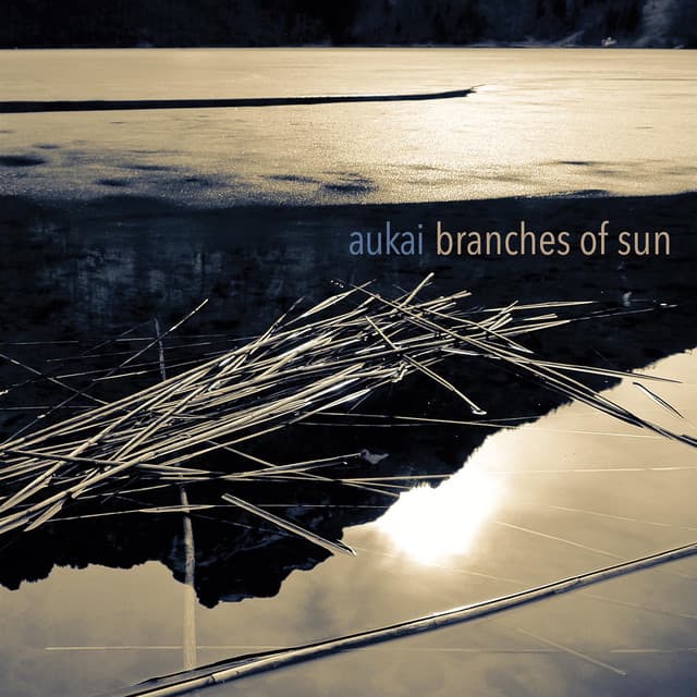 Branches of Sun cover art