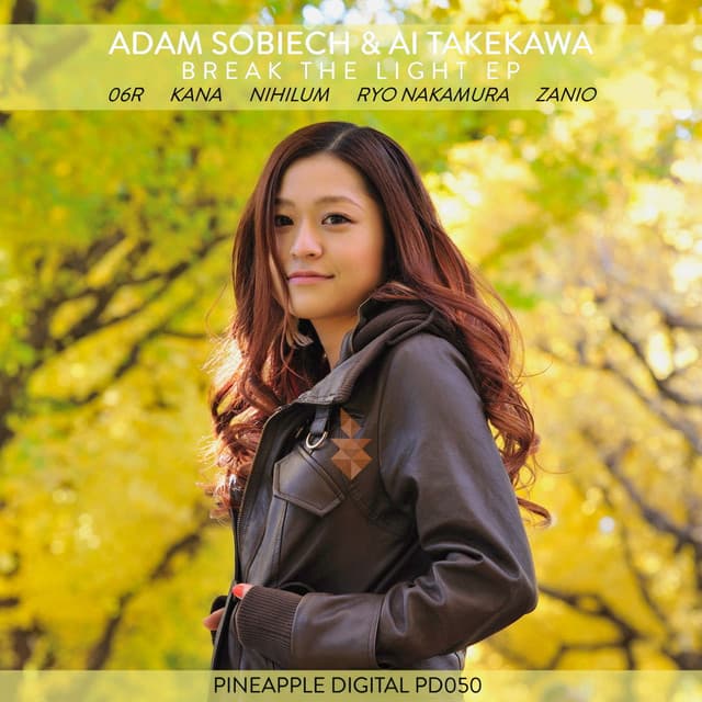 Break the Light - Ryo Nakamura Remix cover art