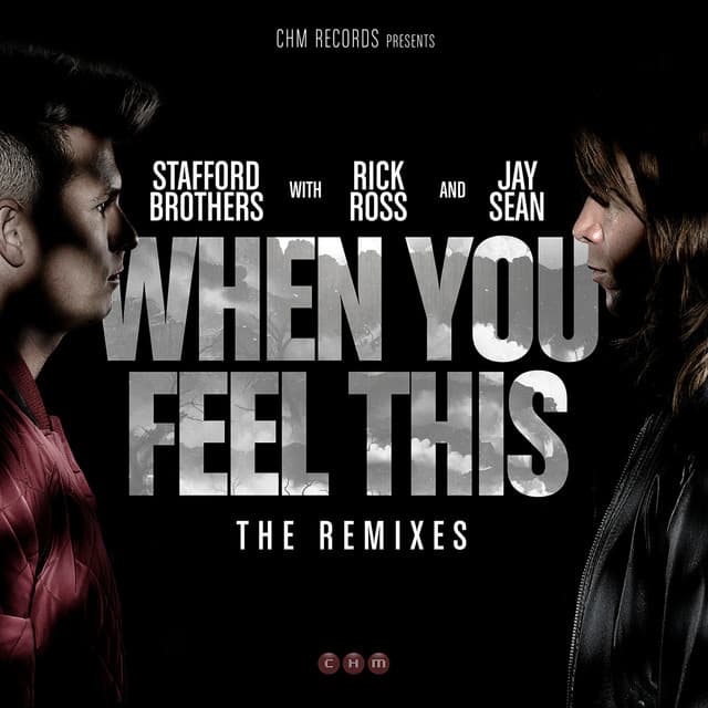 When You Feel This (feat. Jay Sean & Rick Ross) - Montano & Pizzitola Vs GODLOV Remix cover art