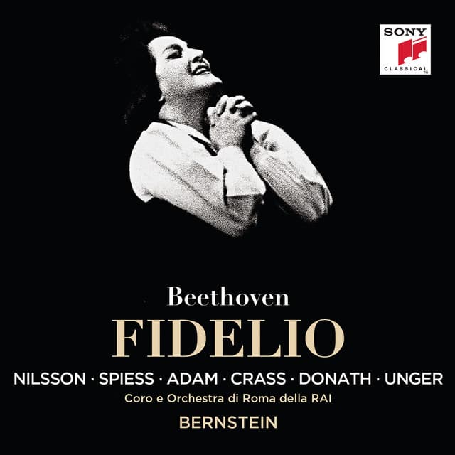Fidelio, Op. 72: Act II: Gott, welch' Dunkel hier cover art