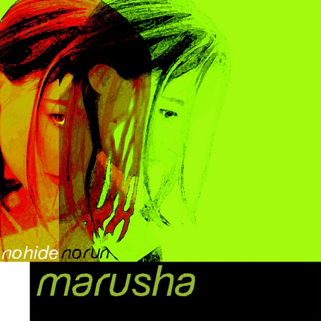 No Hide No Run cover art