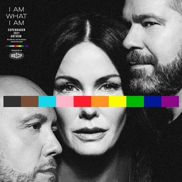 I Am What I Am - Barcode Remix cover art