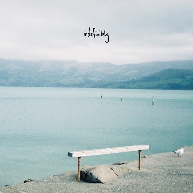 Indefinitely cover art