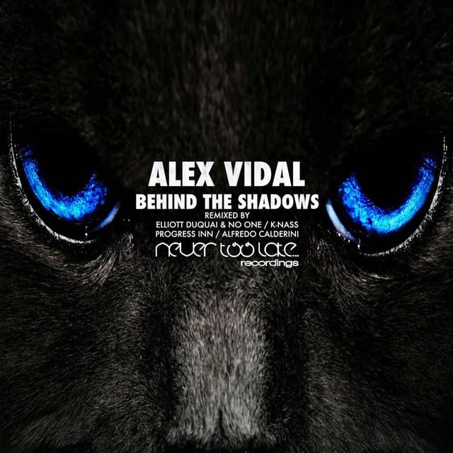 Behind the Shadows - Progress Inn Shady Remix cover art