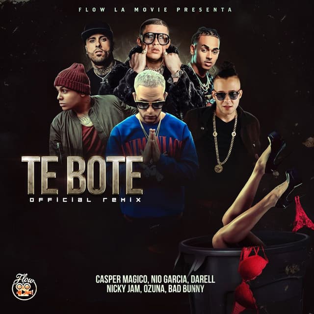 Te Boté - Remix cover art