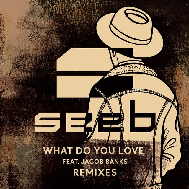 What Do You Love - SJUR Remix cover art