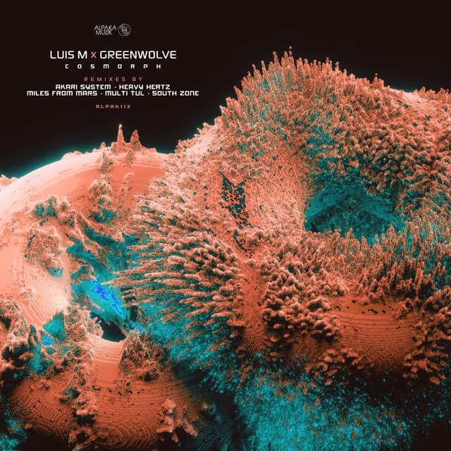 Cosmorph - South Zone Remix cover art
