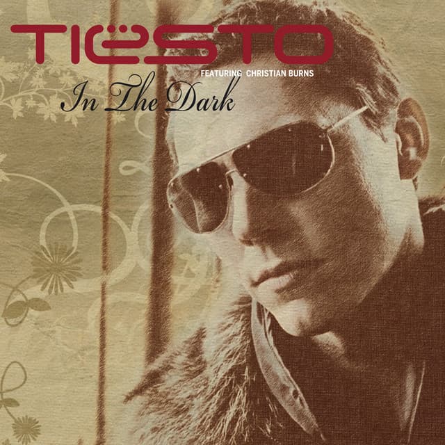 In the Dark (feat. Christian Burns) - Carl B. Remix cover art