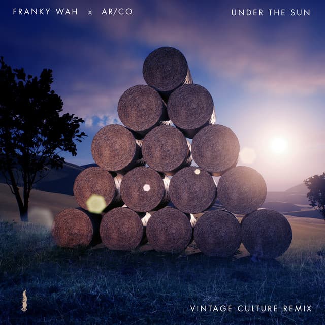 Under The Sun - Vintage Culture Remix cover art