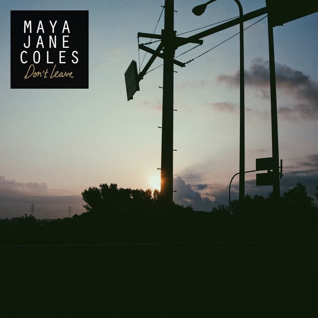 Don't Leave cover art