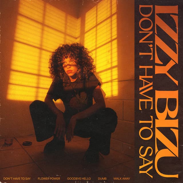 Don't Have To Say cover art