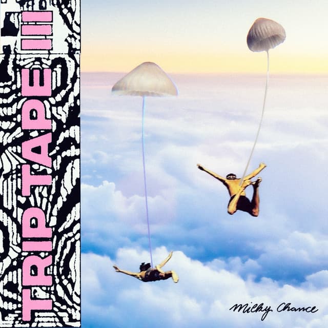 Camouflage cover art