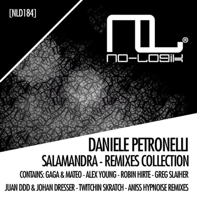 Salamandra - Greg Slaiher Remix cover art