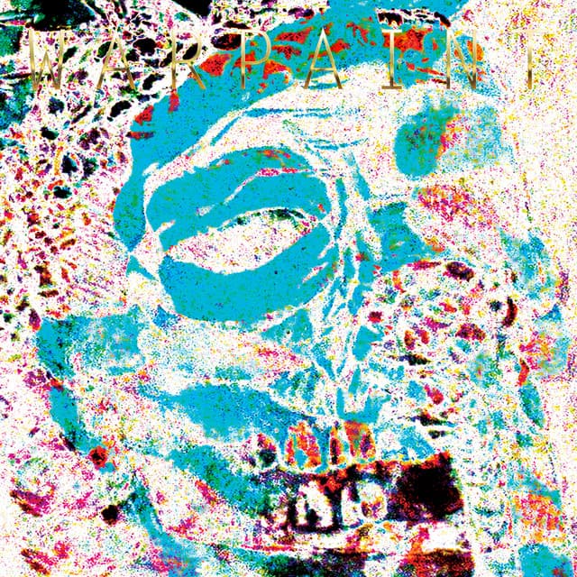 The Fool (Andrew Weatherall Mixes) cover art