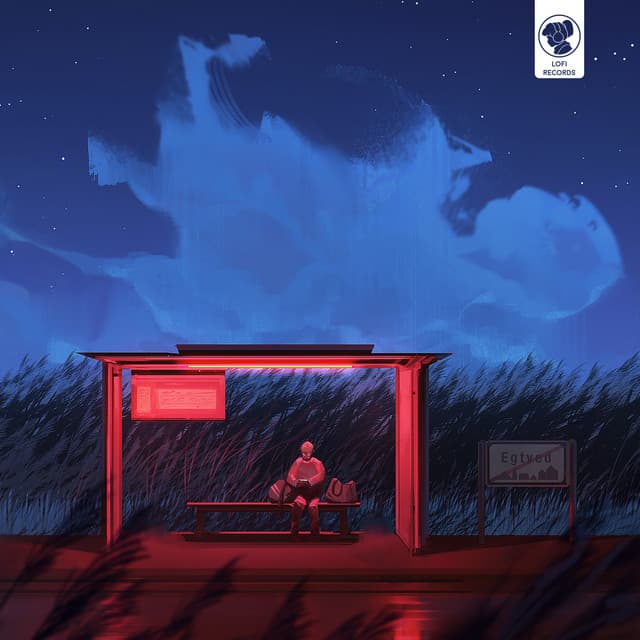 the stars outside my window cover art