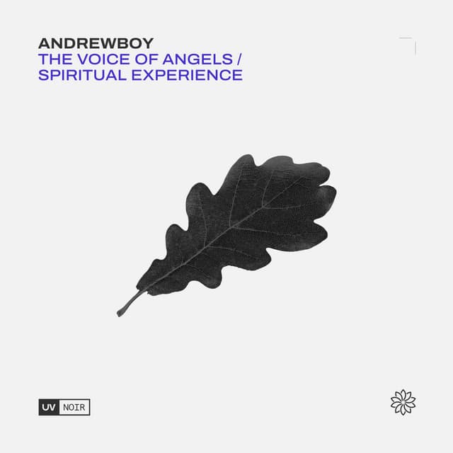 The Voice of Angels / Spiritual Experience cover art