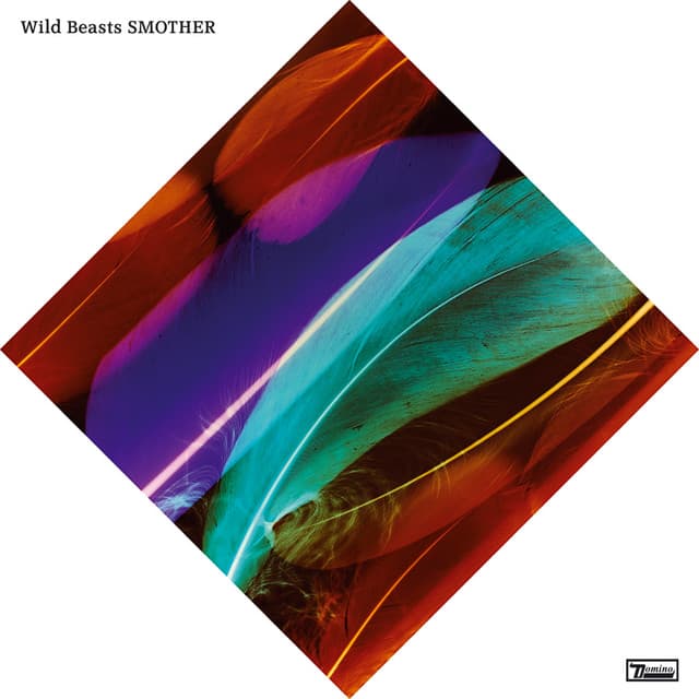 Invisible cover art
