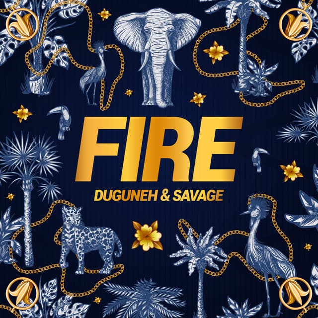 Fire - Extended Mix cover art