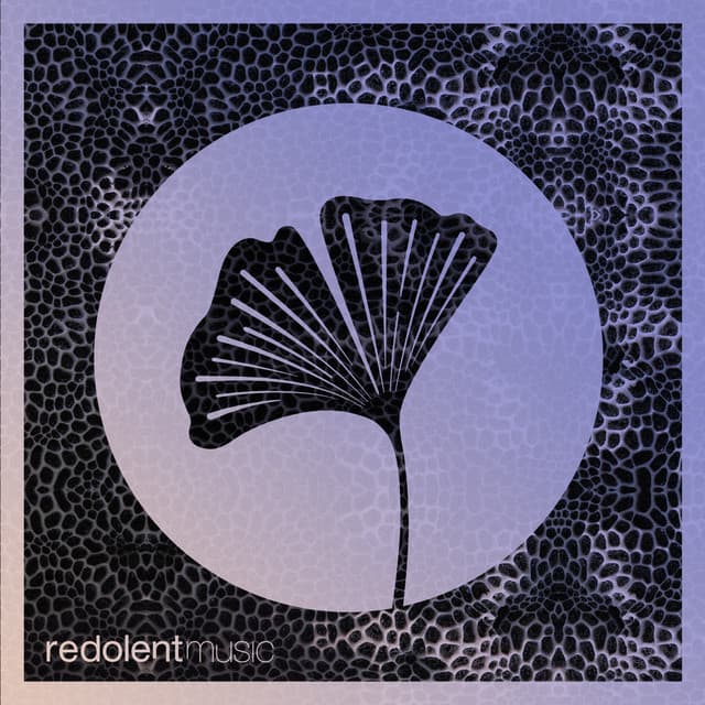 Raw is Real - Martijn Ten Velden Extended Remix cover art