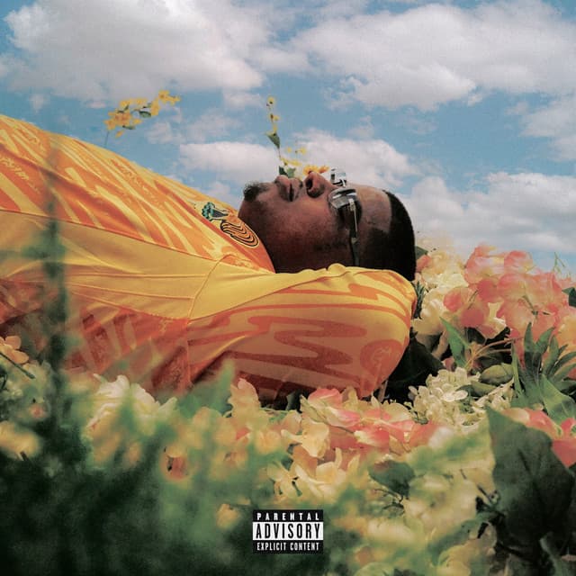 2 Mazza (feat. Drake) cover art