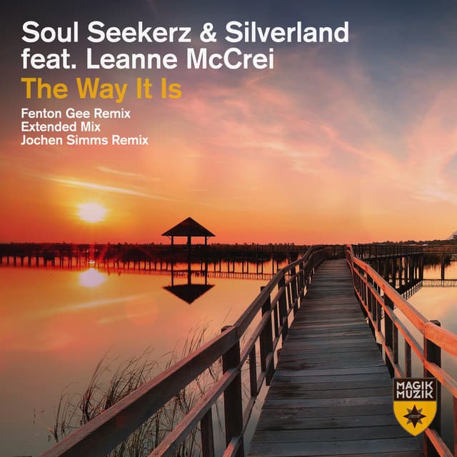 The Way It Is - Extended Mix cover art