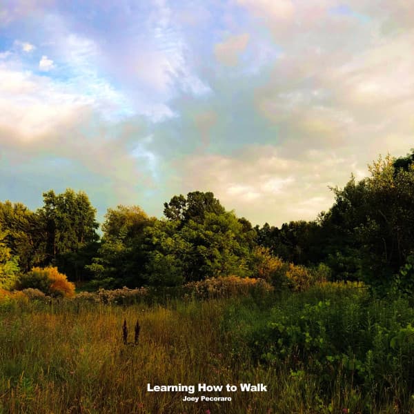 Learning How To Walk - Codaclef Remix cover art