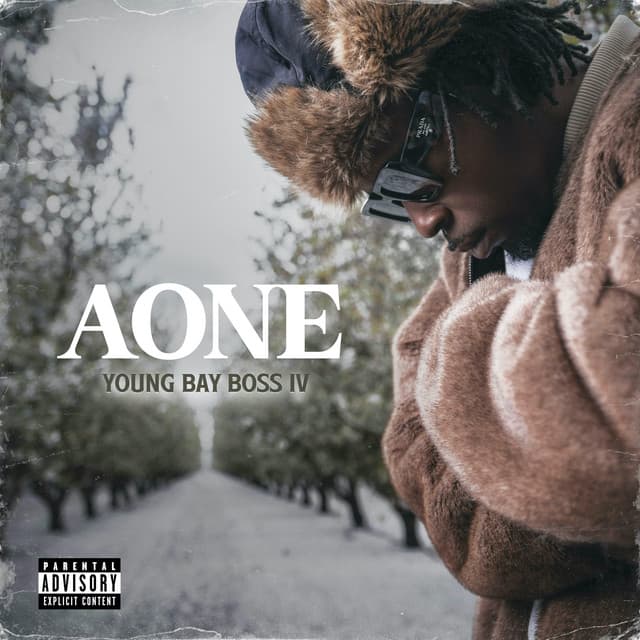The Take Over cover art
