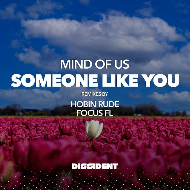 Someone Like You - Focus Fl Remix Radio Edit cover art