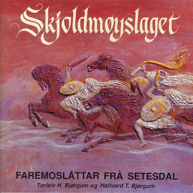 Hallvard T. Bjørgum