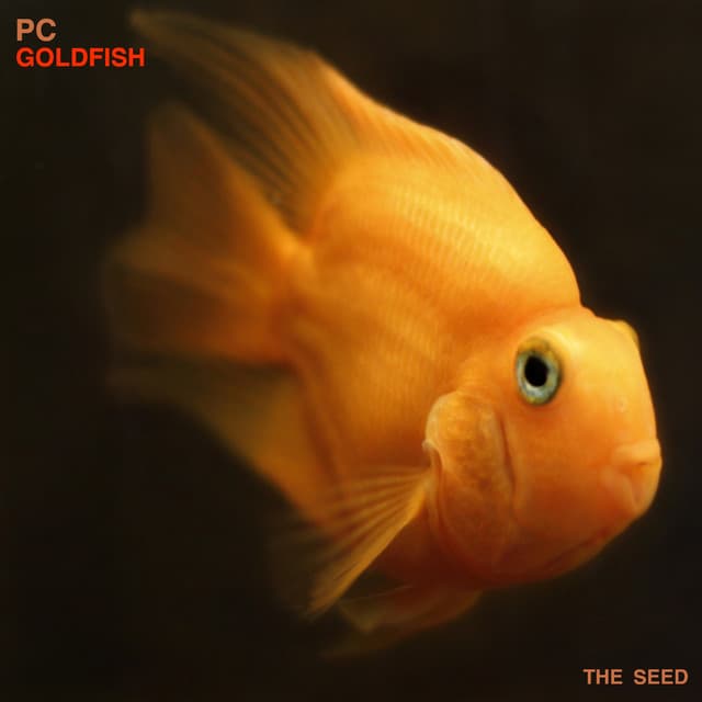 Goldfish cover art