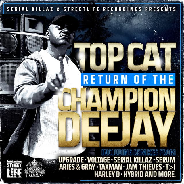 Pirate Radio - Harley D Remix cover art