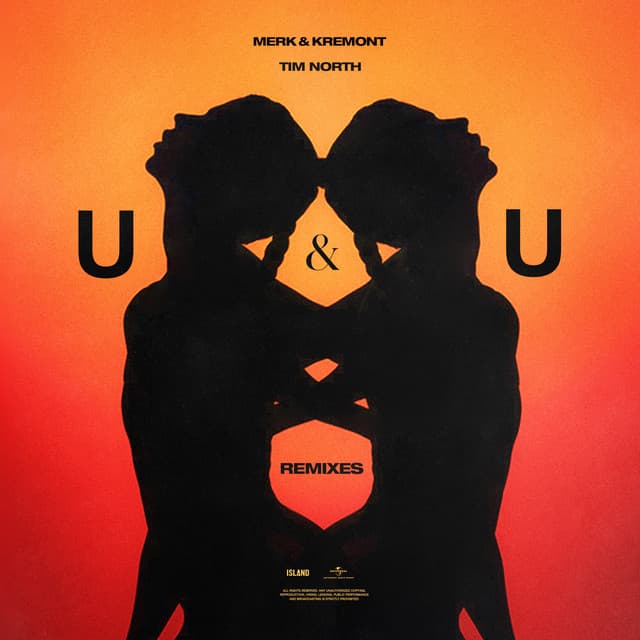U&U (feat. Tim North) - DONT BLINK Remix cover art