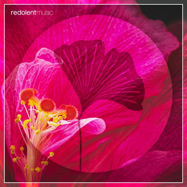 La Danza Remixes cover art