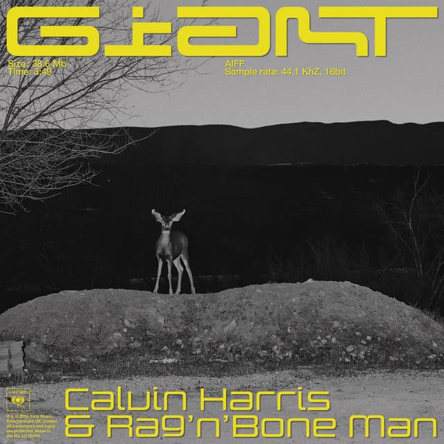 Giant (with Rag'n'Bone Man) cover art