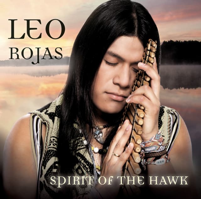 Spirit Of The Hawk cover art
