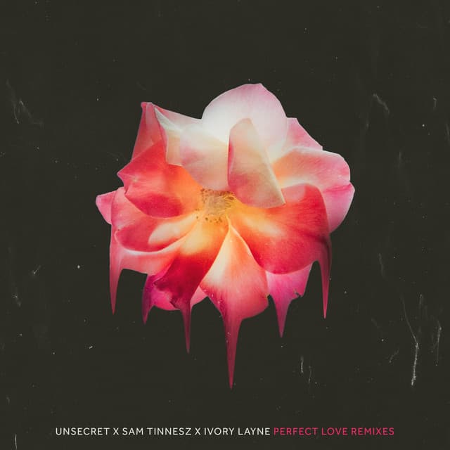 Perfect Love - Yacht Money Remix cover art