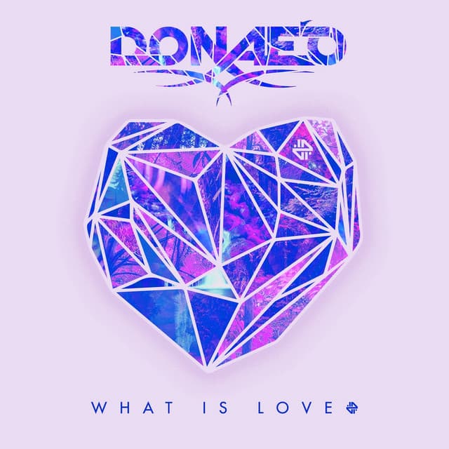 What Is Love - DJ Q Remix cover art