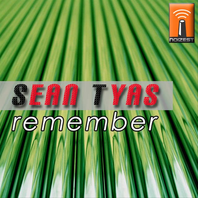 Remember - Serenade Rmx cover art