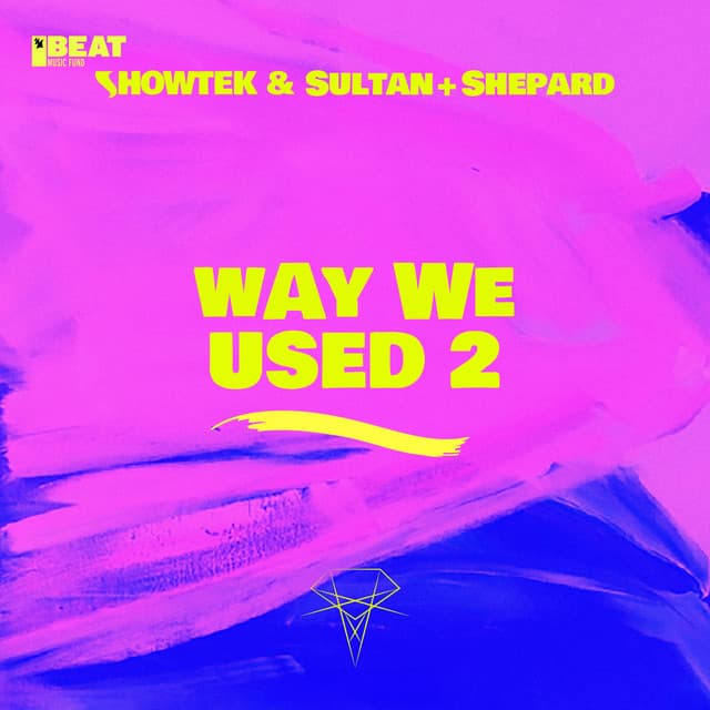Way We Used 2 - Steve Walls Remix cover art
